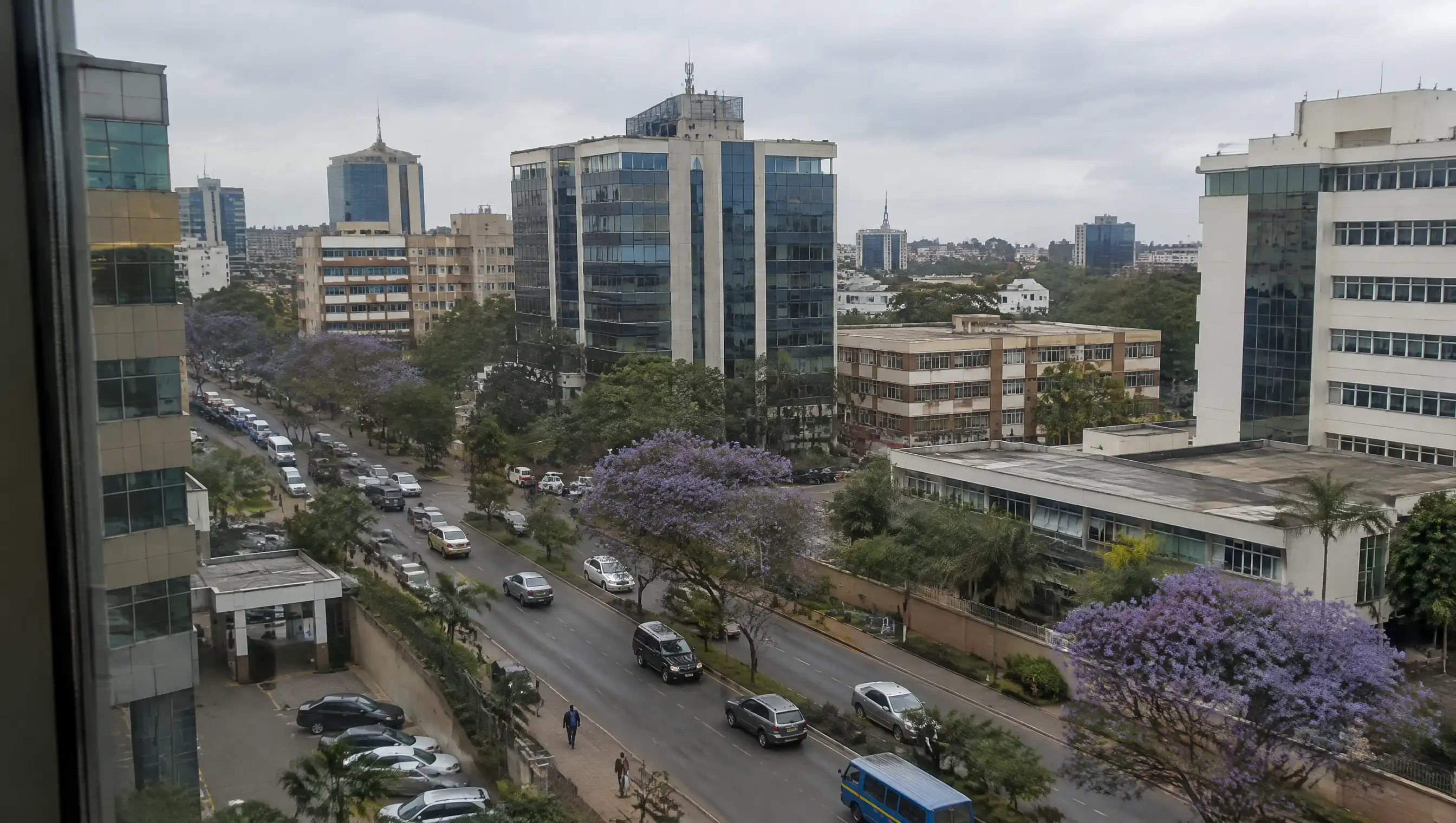 An overcast morning over Westlands, Nairobi: office blocks, traffic and jacaranda trees in bloom along the road